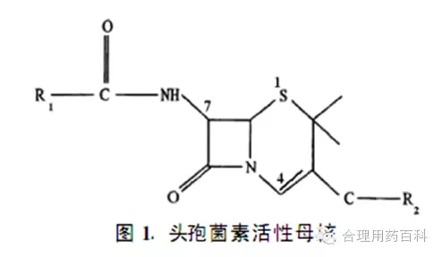 头孢类药物的不良反应