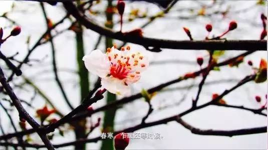 6c77d78bed6f209448566ee1a492ab9d.jpg