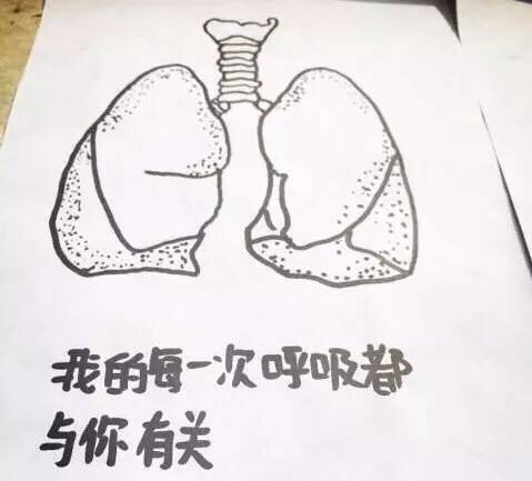 e0ed1deadb6287f436e5dc5ded7fecf3.jpg