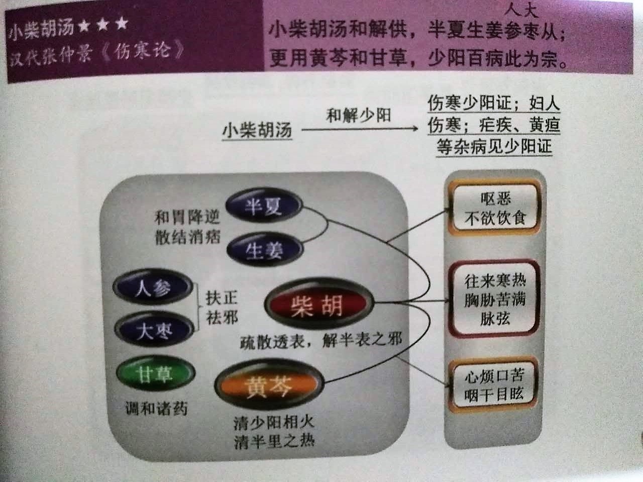 小柴胡汤《伤寒论》
