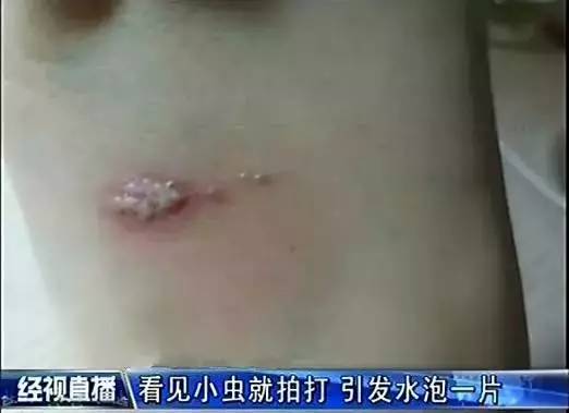 微信图片_20170518095052.jpg