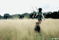 0.gif