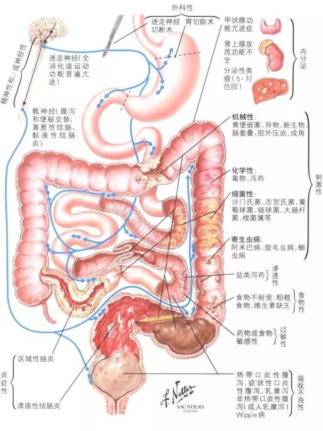 微信图片_20170706110307.jpg