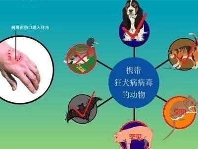 微信图片_20170928163813.jpg