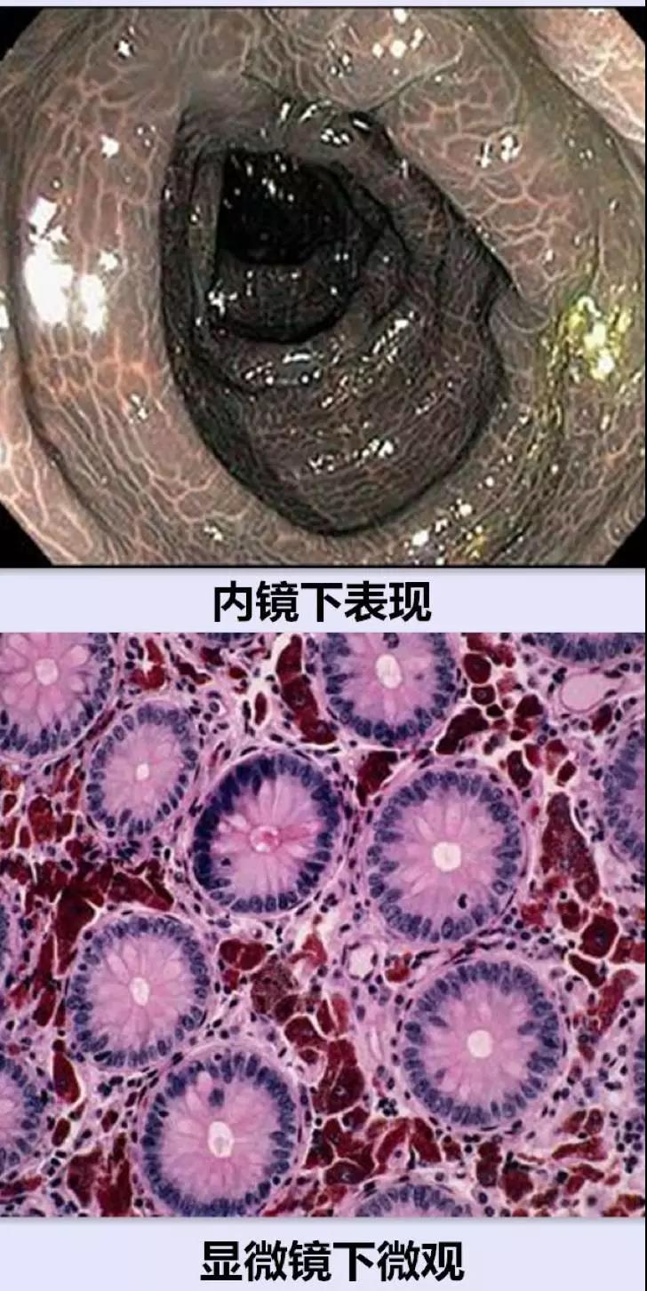 微信图片_20171101104330.jpg