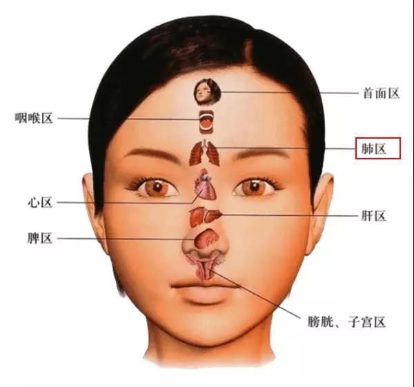 反射区域:在两眉1/2之间,额头1/3以下的部位,就是印堂这个位置.
