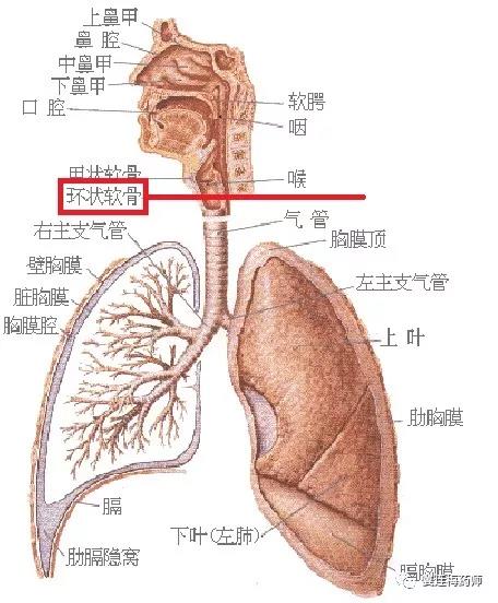 微信图片_20180102155026.jpg