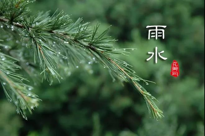 微信图片_20180219072002.jpg