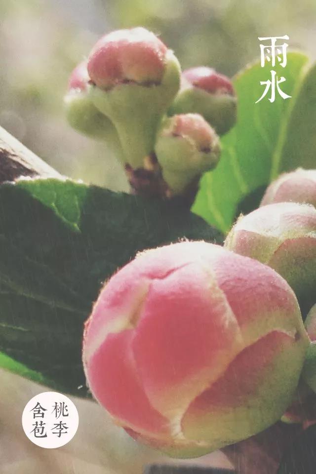 微信图片_20180219072026.jpg
