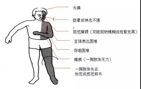 微信图片_20180226091719.jpg