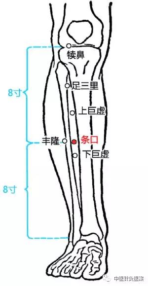 微信图片_20180306083903.jpg