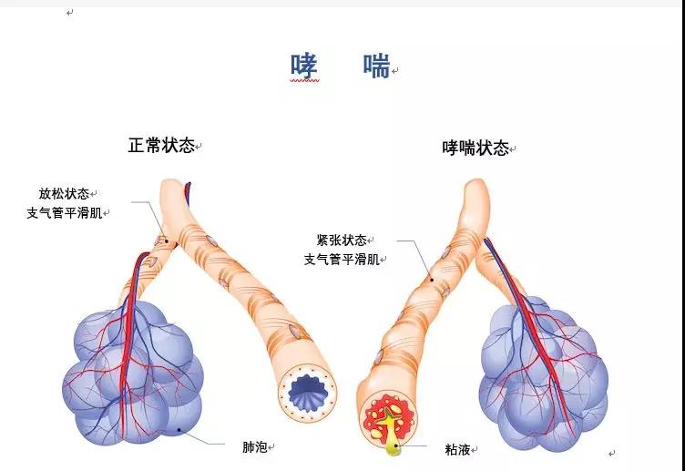 微信图片_20180501193547.jpg