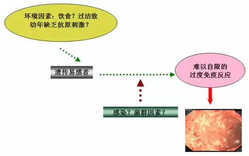 微信图片_20180613164553_副本.jpg