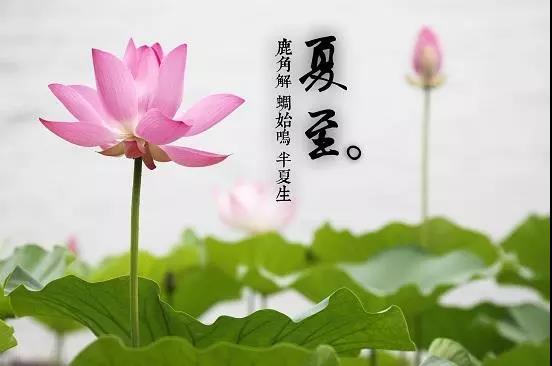 微信图片_20180621080830.jpg