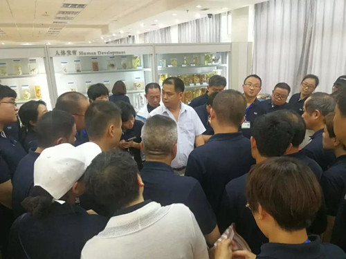 微信图片_20180626081317_副本.jpg
