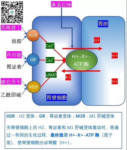 微信图片_20180630183101.jpg