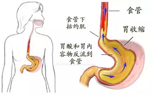 微信图片_20180704200351.jpg