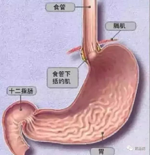 微信图片_20180724101000_副本.jpg