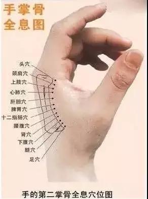 微信图片_20180729105356.jpg