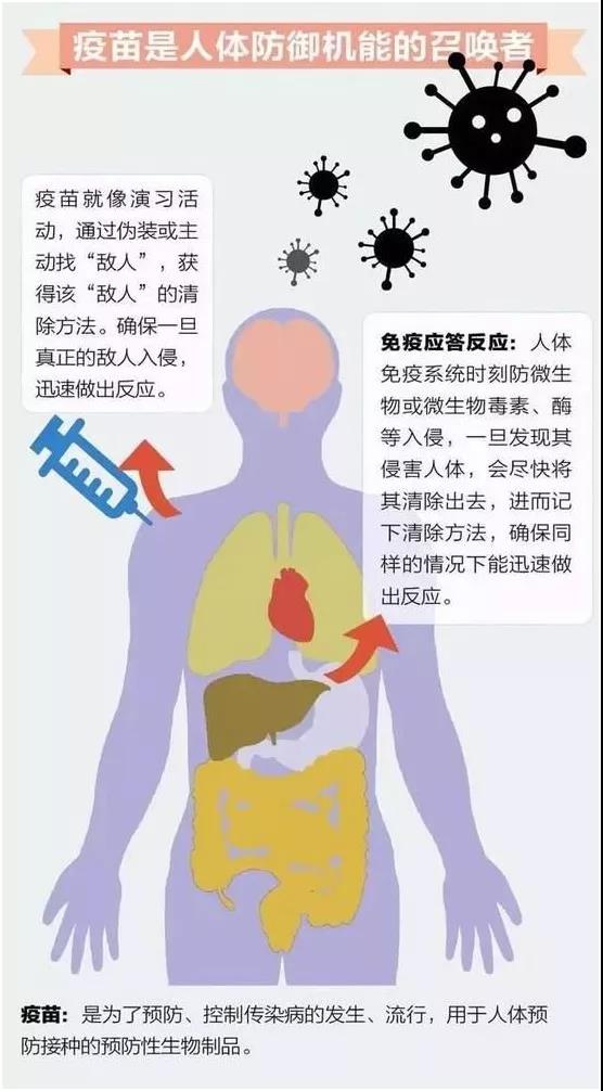 微信图片_20180731160430.jpg