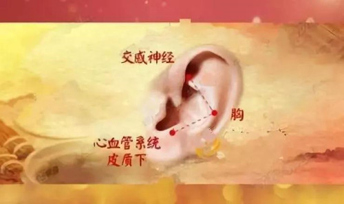 微信图片_20180809151250.jpg
