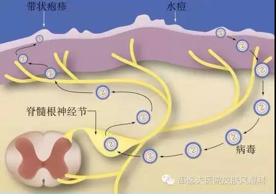 微信图片_20180815152236.jpg
