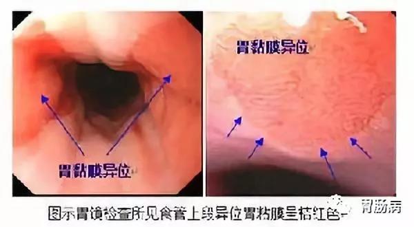 微信图片_20180816095738.jpg