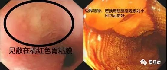 微信图片_20180816095836.jpg