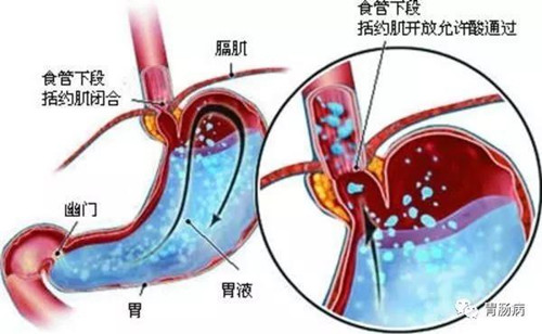 微信图片_20180919102338.jpg