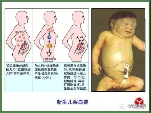 微信图片_20181001210214.jpg
