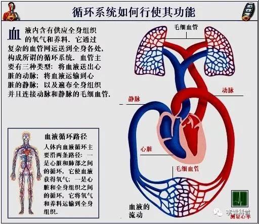 微信图片_20181007162144.jpg