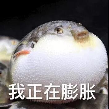 微信图片_20181020214249.jpg