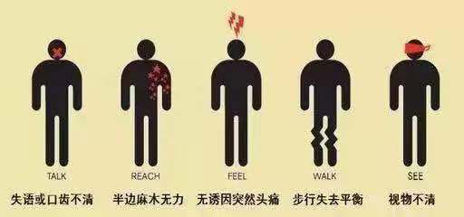 世界卒中日|脑卒中偏爱这5种人！你中招了吗？