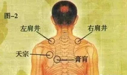 微信图片_20181106102441.jpg