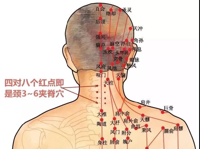微信图片_20181106102445.jpg
