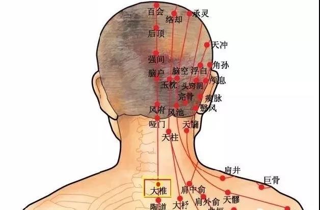 微信图片_20181106102448.jpg