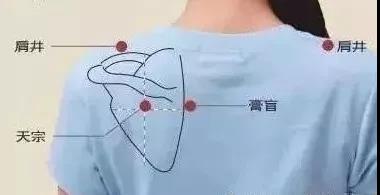 微信图片_20181106102452.jpg