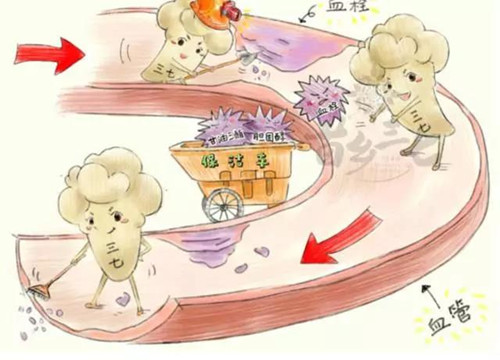 如何快速分解体内的蛋白质 6367735796504469024321072.jpg
