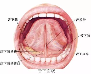 微信图片_20181126094237.jpg