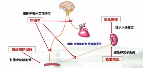 微信图片_20181202181858.jpg