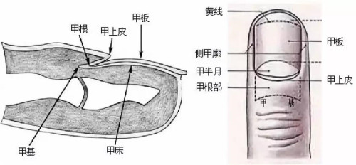 微信图片_20181210141425.jpg 微信图片_20181210141425.jpg
