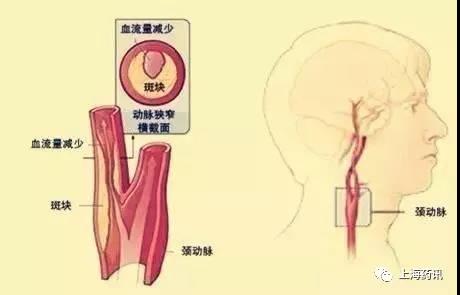 微信图片_20190213134220.jpg
