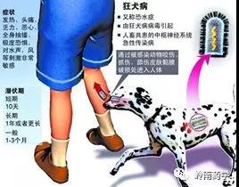 微信图片_20190320143730.jpg