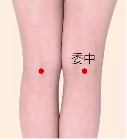 微信图片_20190401141804.jpg