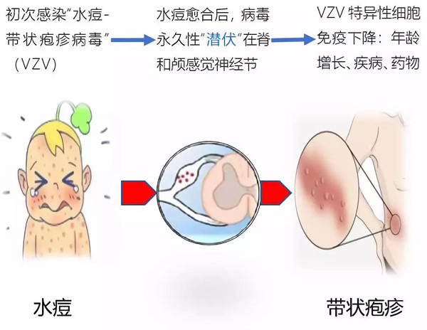 微信图片_20190416152750.jpg