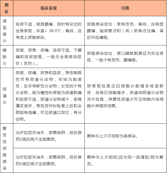 夏季尿路感染的药物治疗及预防