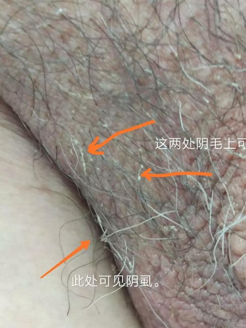 微信图片_20190616174907.jpg