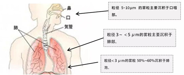 微信图片_20190619163602.jpg