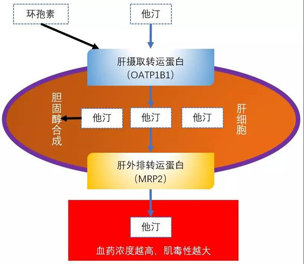 微信图片_20190621141130.jpg