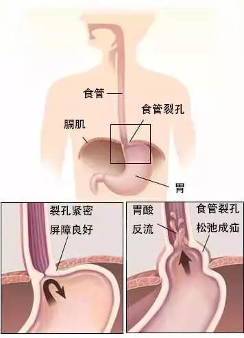 微信图片_20190918144454.jpg